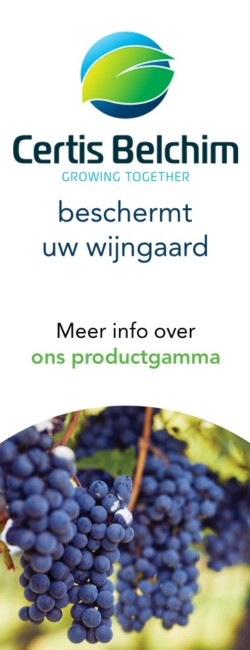 Certis Belchim_wijnbouw 650x250